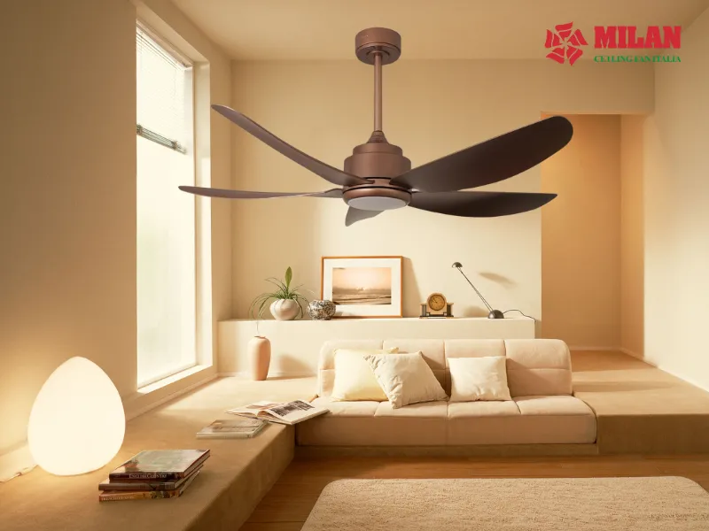 quat-tran-va-quat-treo-tuong